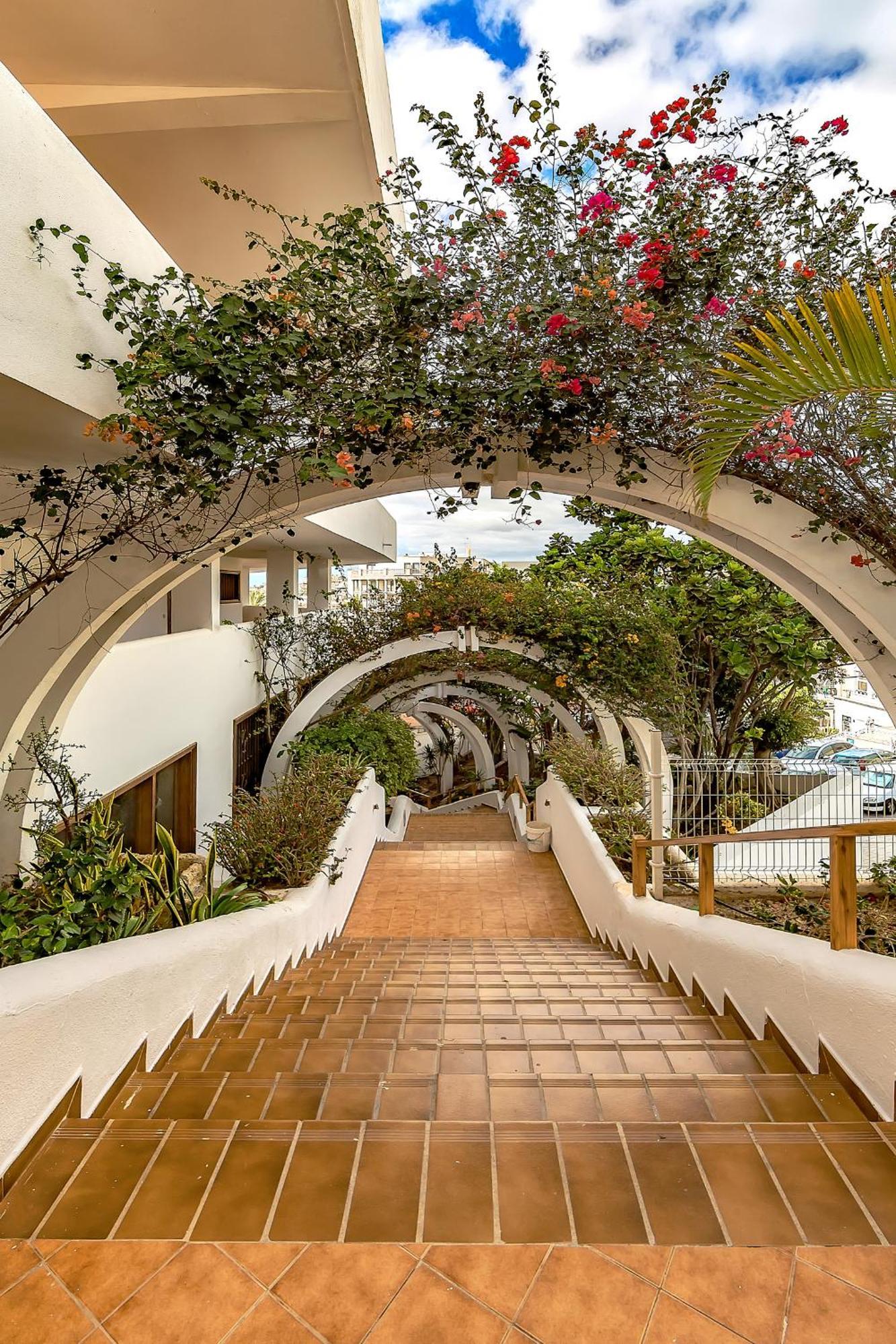 Ocean View Apartments In Park Royal I Costa Adeje  Ngoại thất bức ảnh